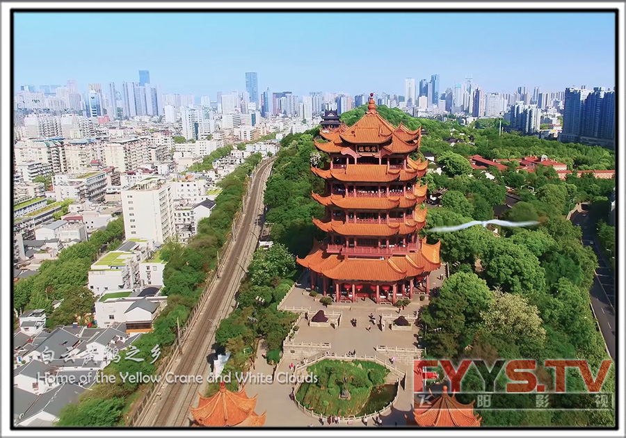 武汉湿地城市申报片