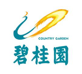 碧桂园控股有限公司（长期合作伙伴）