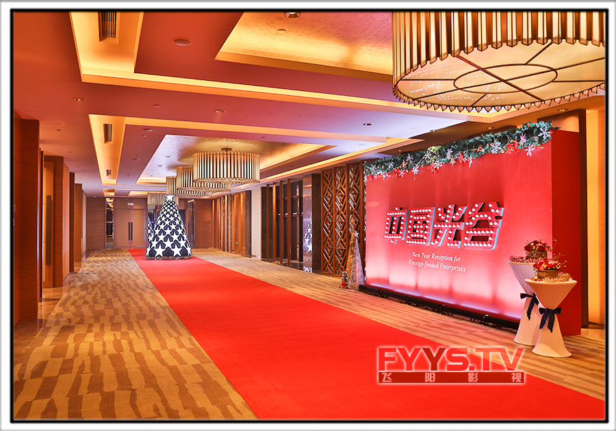 光谷外资企业新年联谊会举行，外商投资协会揭牌 武汉会议直播 摄像