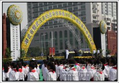 湖北省暨武汉市纪念辛亥革命100周年缅怀英烈祭奠仪式